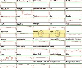 BIOFEEDBACK - МОДУЛ ЗА БИОПУЛСАР РЕФЛЕКСОГРАФ